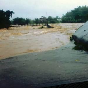 Meet your Posher, Flor